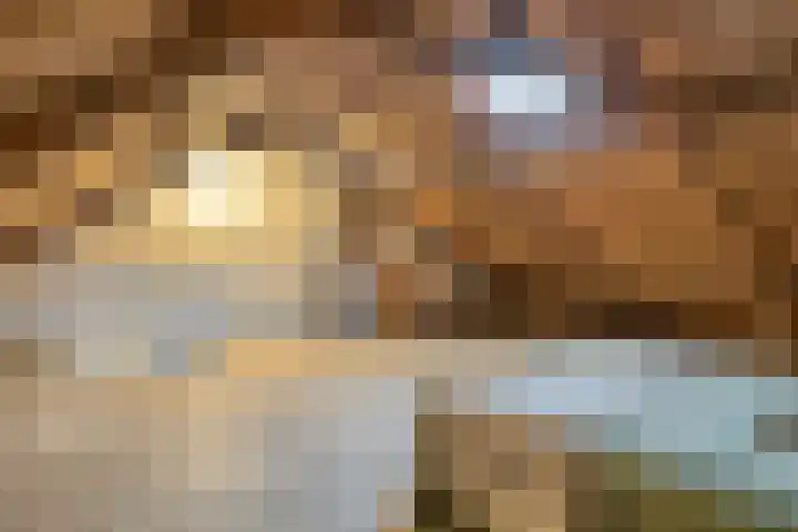 Loweg 46 Hengelo thumbnail 39