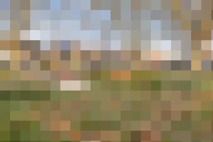 Loweg 46 Hengelo thumbnail 7