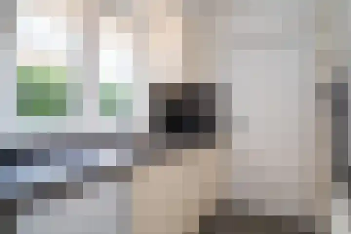 Loweg 48 Hengelo thumbnail 16