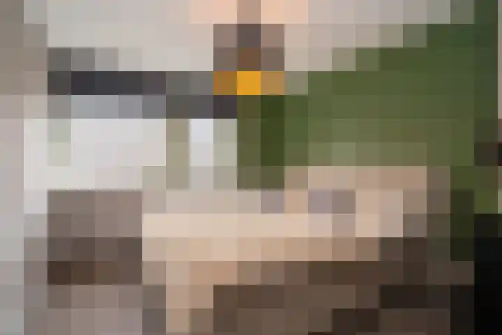 Loweg 48 Hengelo thumbnail 21