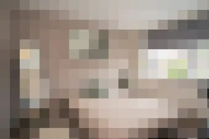 Loweg 48 Hengelo thumbnail 23