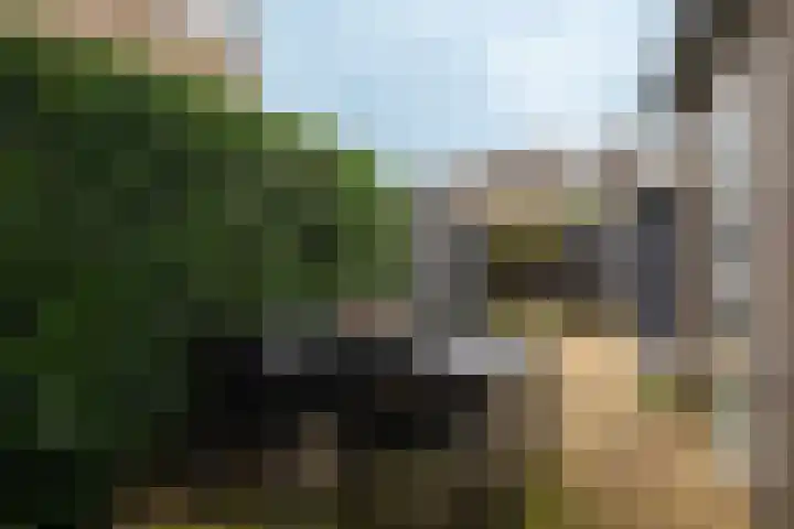 Loweg 48 Hengelo thumbnail 31