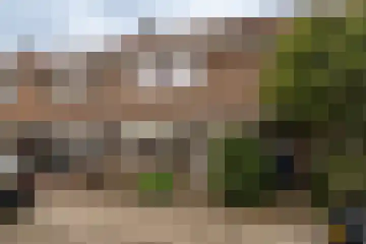 Loweg 48 Hengelo thumbnail 36