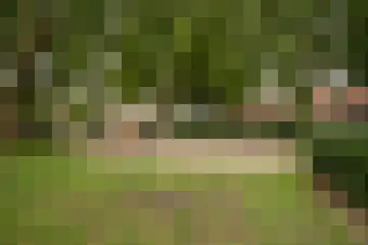 Loweg 48 Hengelo thumbnail 37