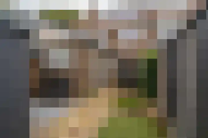Loweg 48 Hengelo thumbnail 6
