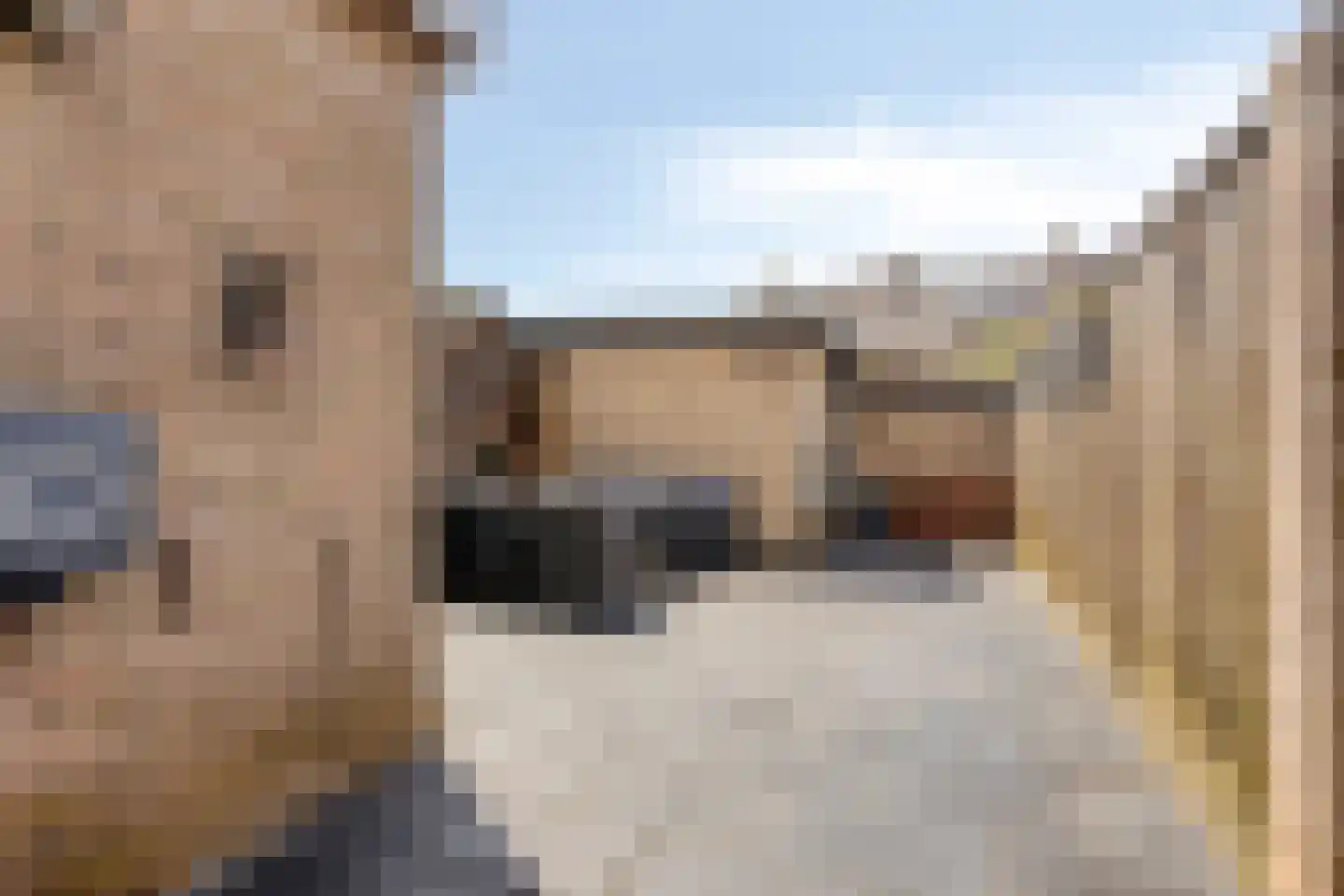 Loweg 50 Hengelo thumbnail 38