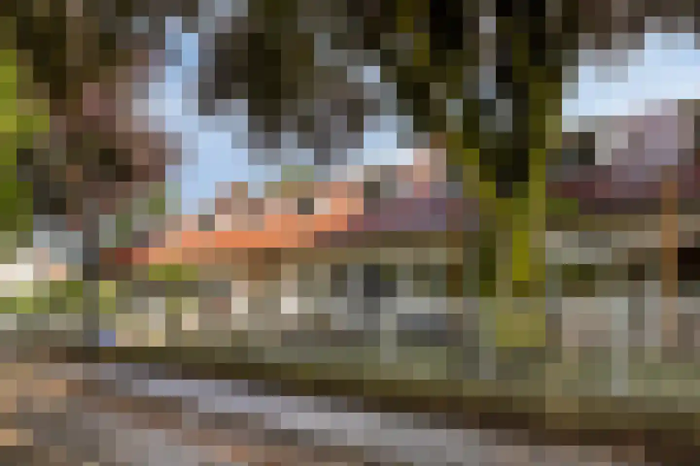 Loweg 50 Hengelo thumbnail 43