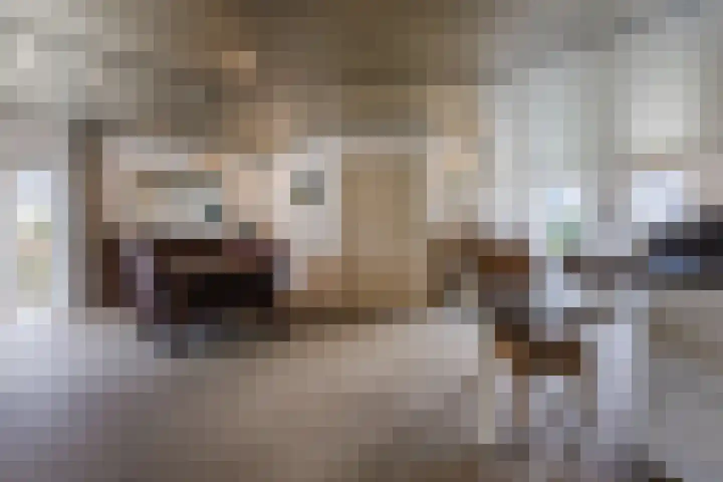 Lowerik 12 Esbeek thumbnail 10