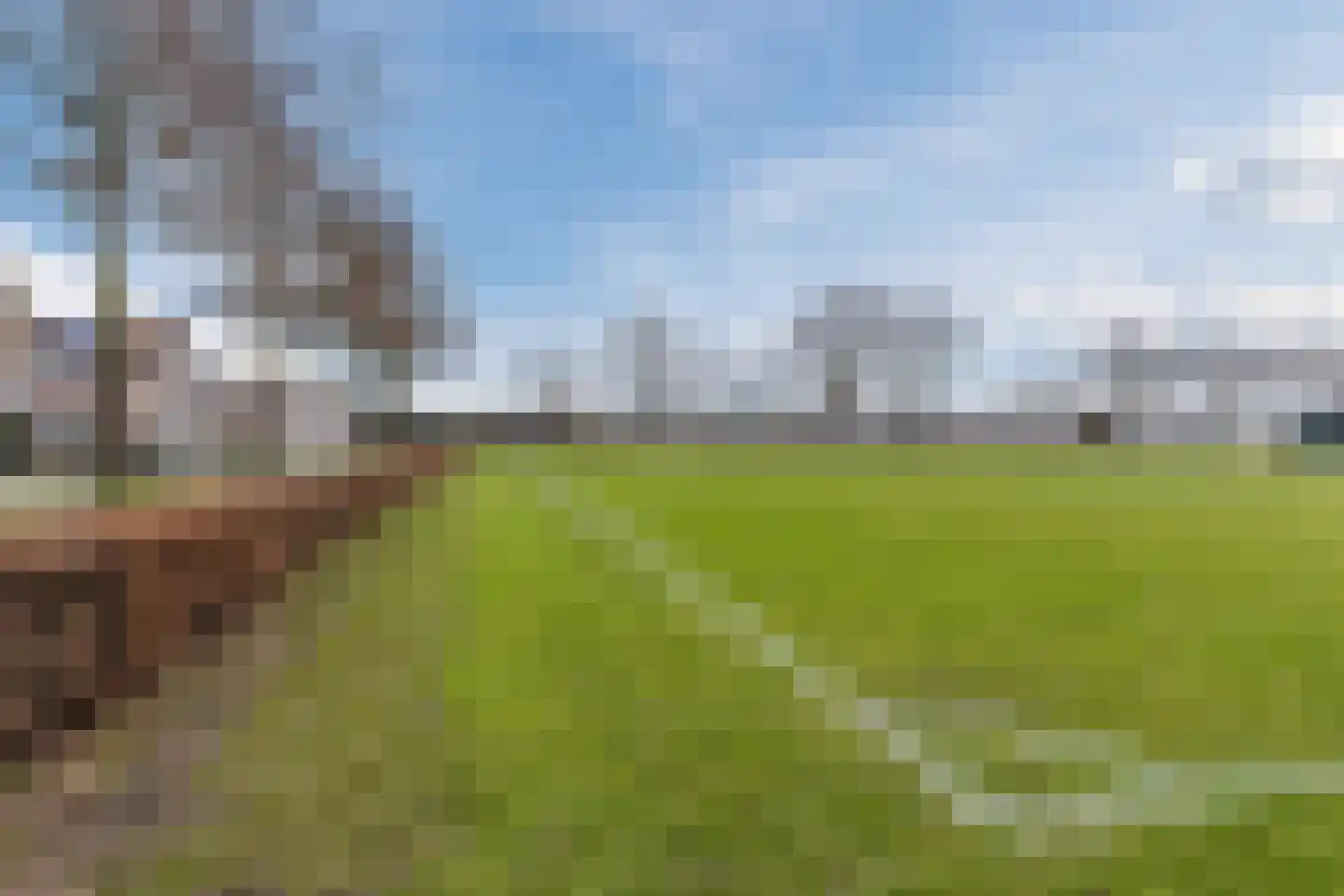 Lowerik 12 Esbeek thumbnail 25