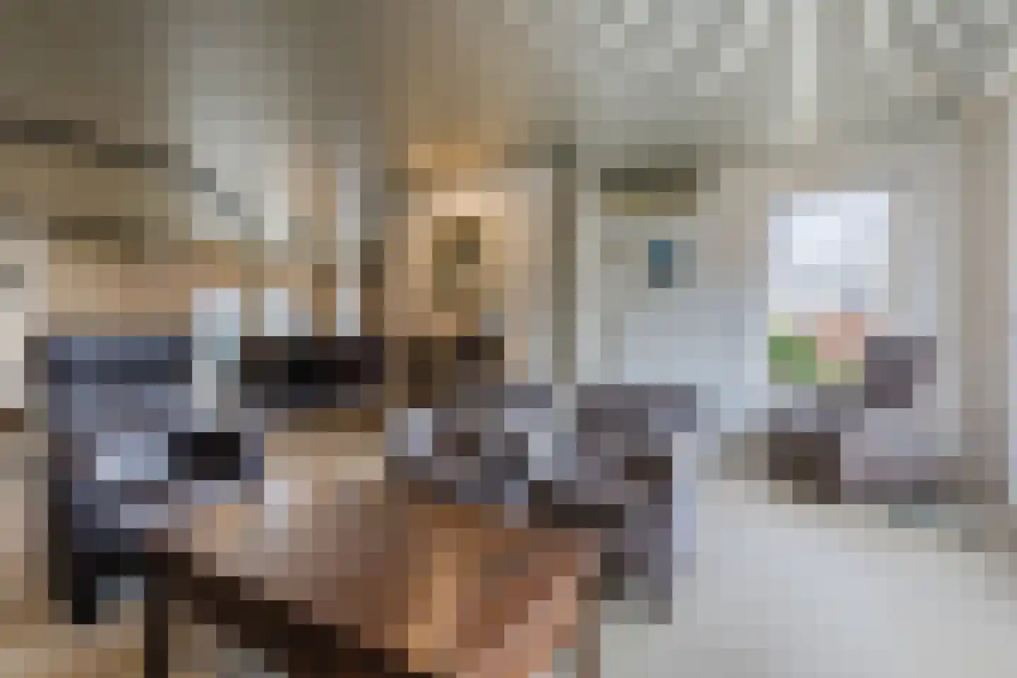 Lowerik 12 Esbeek thumbnail 4