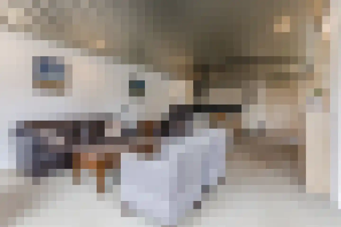 Lowerik 12 Esbeek thumbnail 5