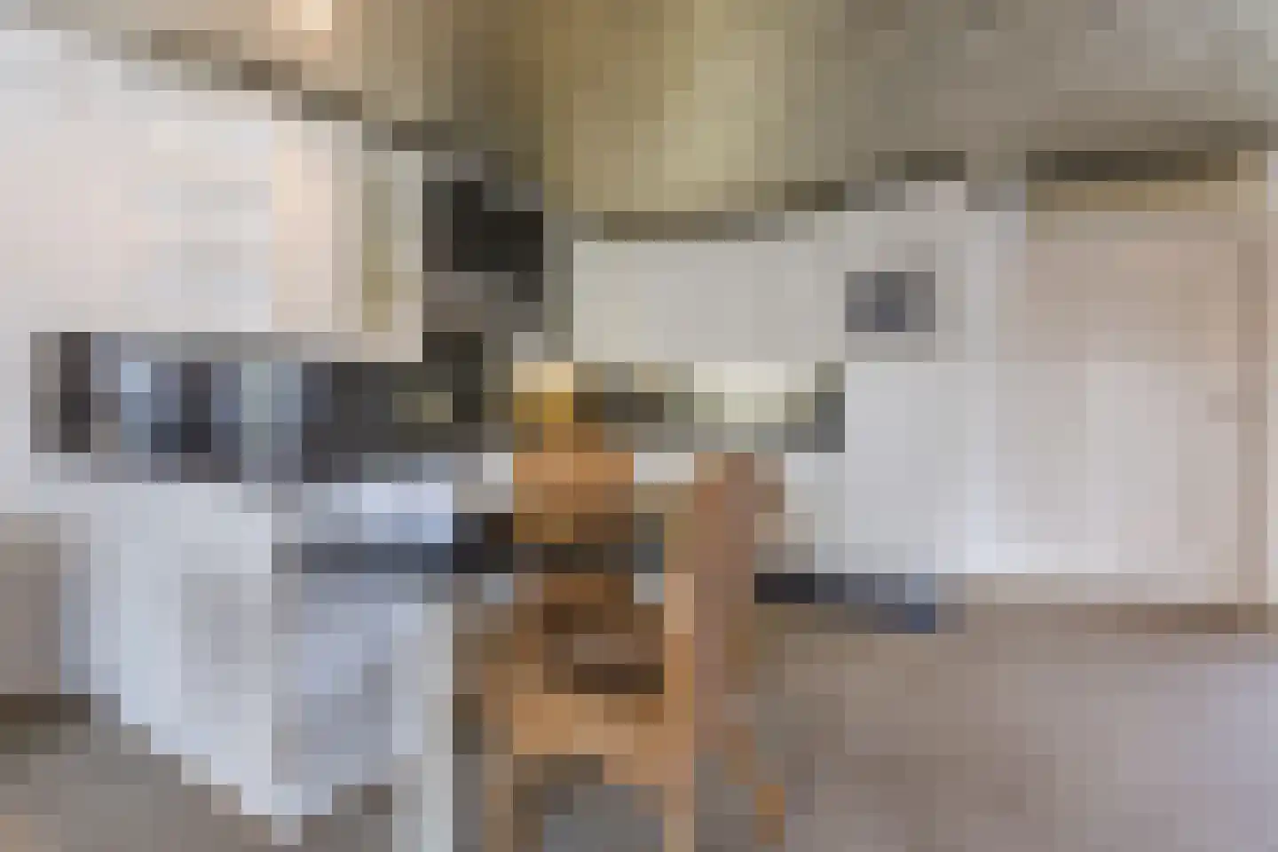 Lowerik 12 Esbeek thumbnail 6