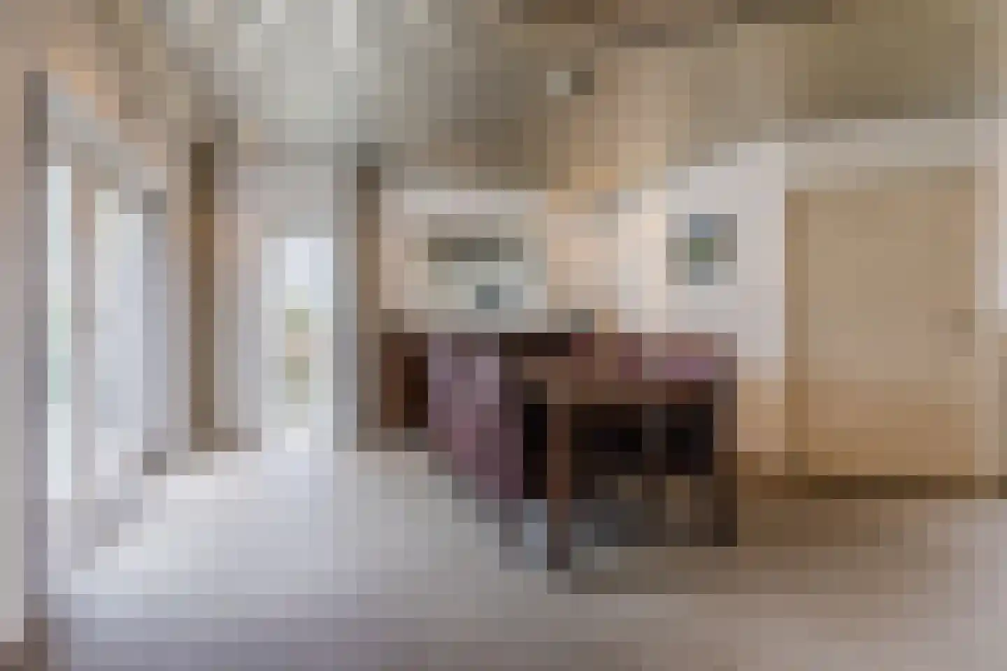 Lowerik 12 Esbeek thumbnail 9