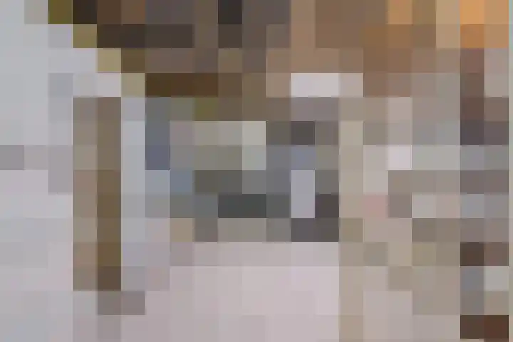 Loysonstraat 44 Eygelshoven thumbnail 22