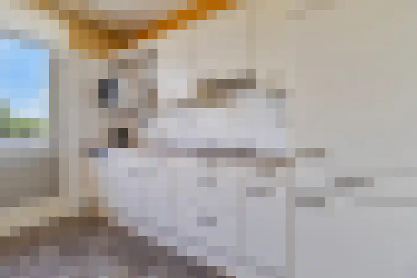 Loysonstraat 8 Eygelshoven thumbnail 8