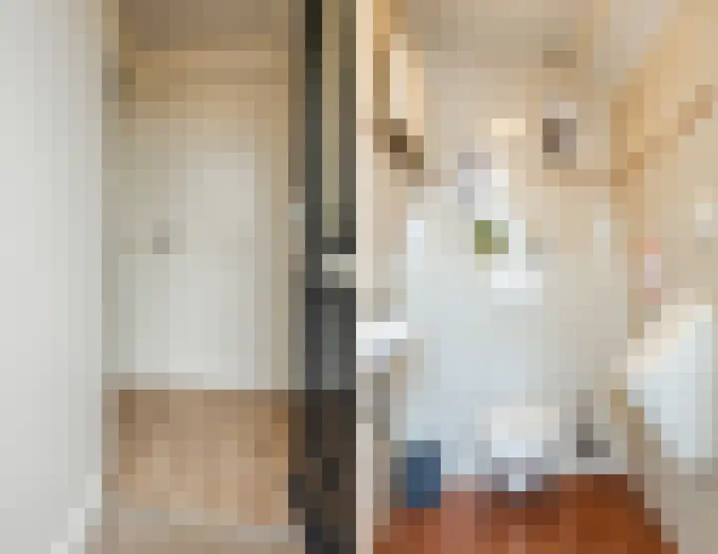 Lozedijk 6 Wanneperveen thumbnail 13