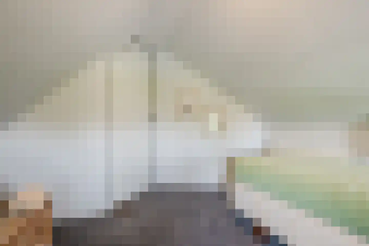Lozedijk 6 Wanneperveen thumbnail 24