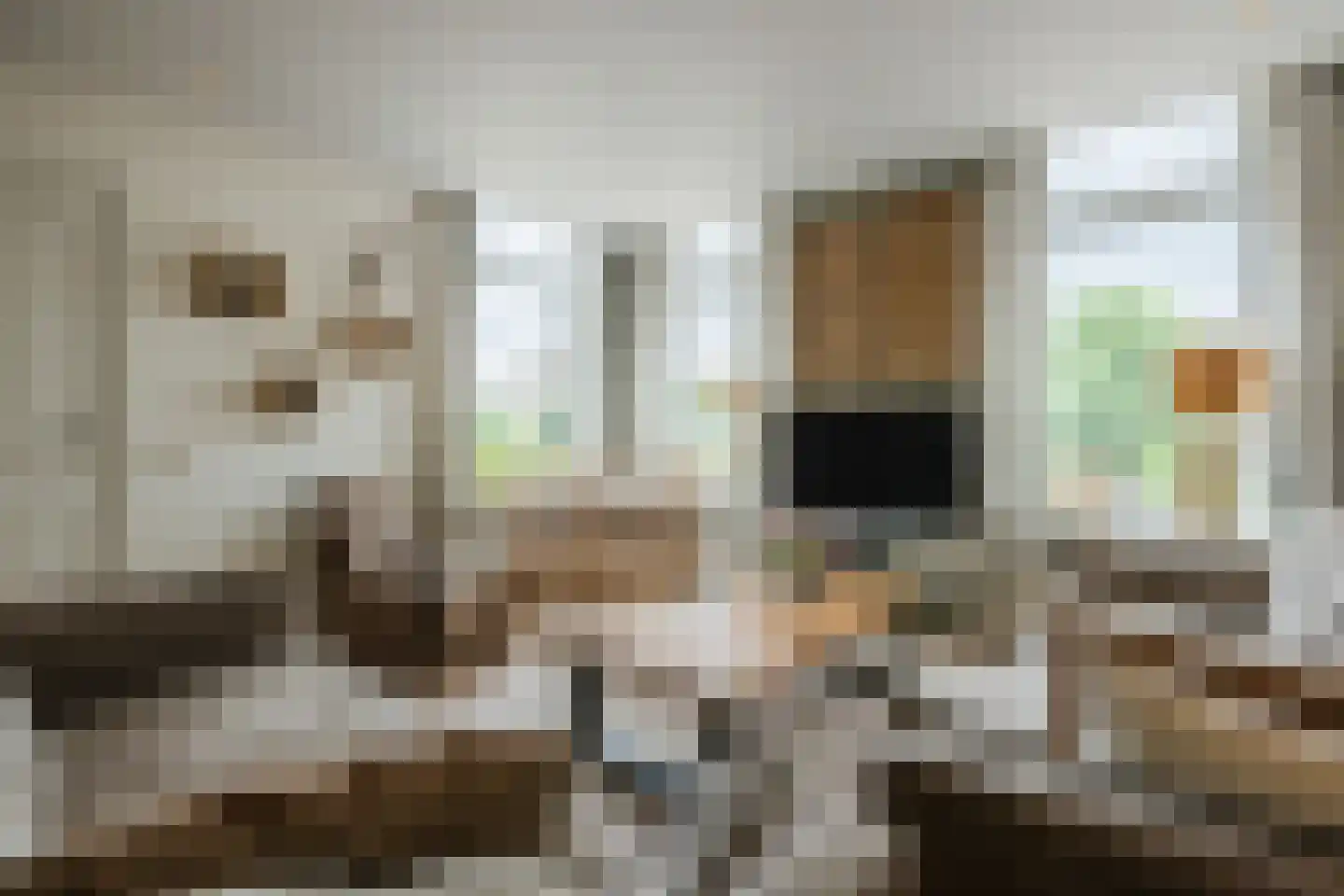Lozedijk 6 Wanneperveen thumbnail 5