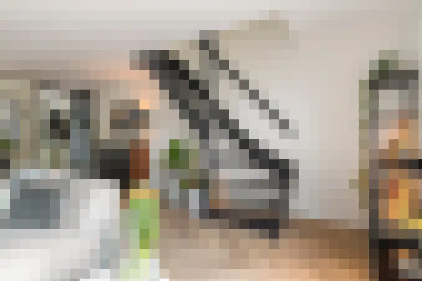 Lozerlaan 11 Pijnacker thumbnail 16