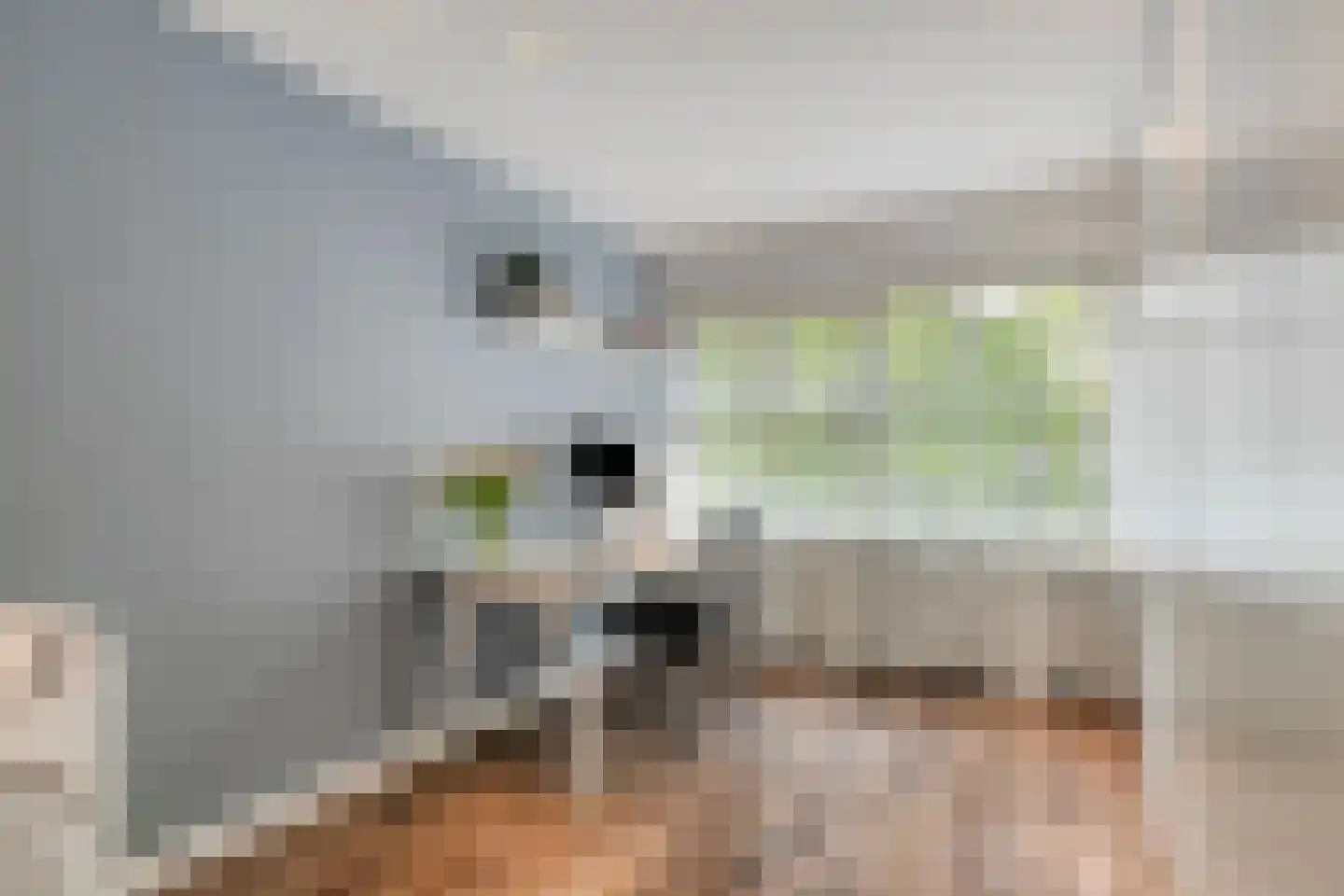 Lozerlaan 11 Pijnacker thumbnail 23