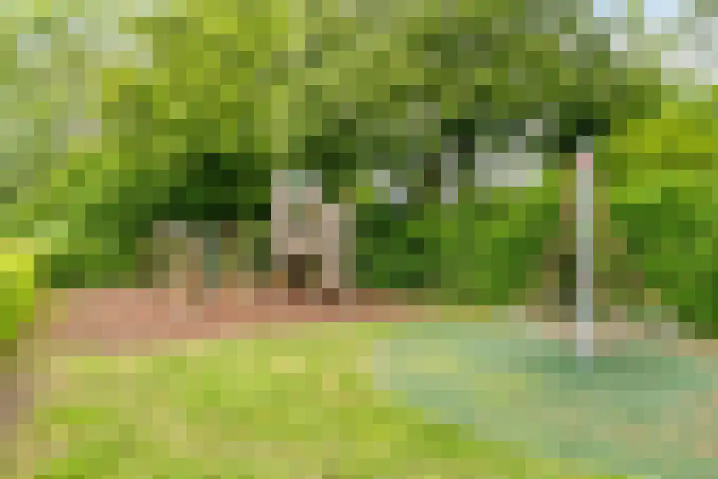 Lozerlaan 11 Pijnacker thumbnail 33