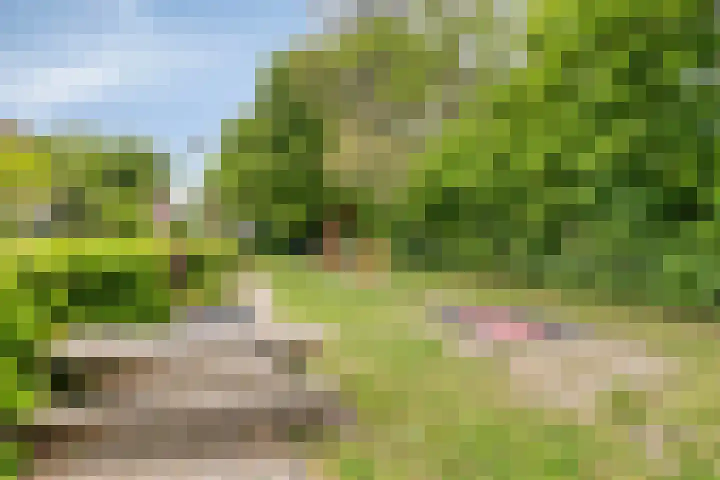 Lozerlaan 11 Pijnacker thumbnail 35