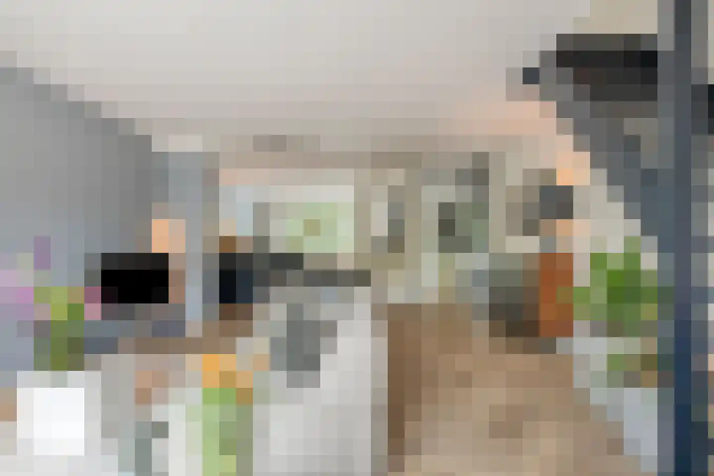 Lozerlaan 11 Pijnacker thumbnail 9