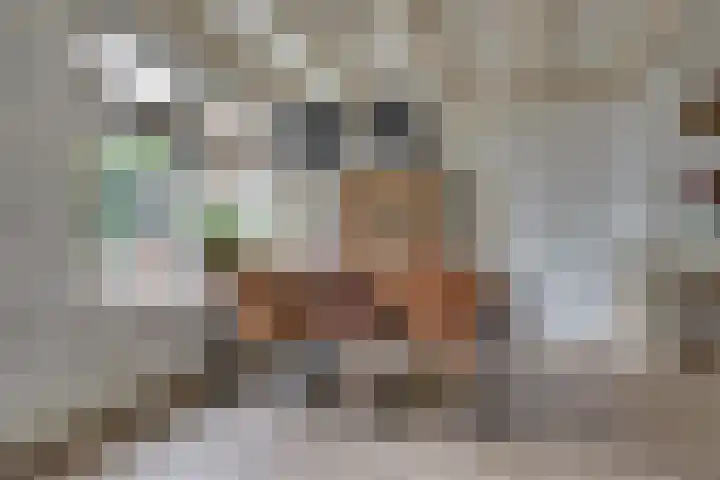 Lozestoep 15 Werkendam thumbnail 10