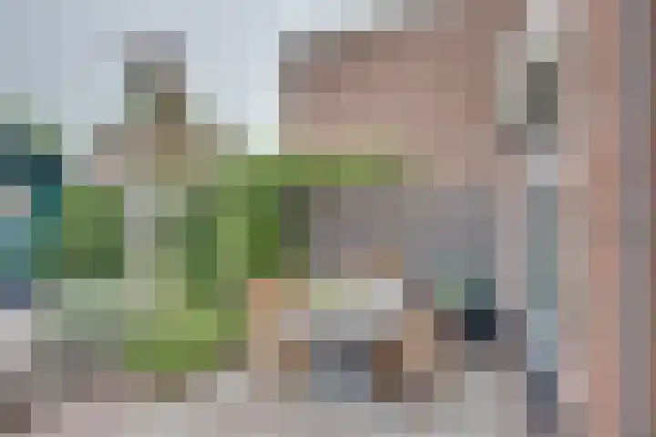 Lozestoep 15 Werkendam thumbnail 22