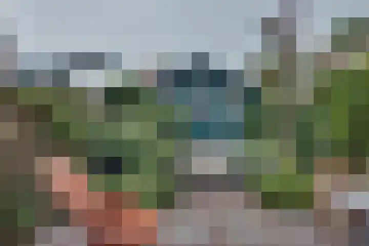 Lozestoep 15 Werkendam thumbnail 23