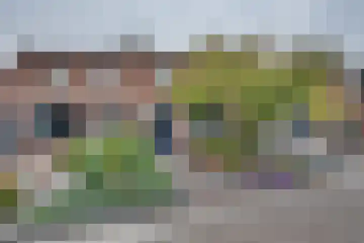 Lozestoep 15 Werkendam thumbnail 4