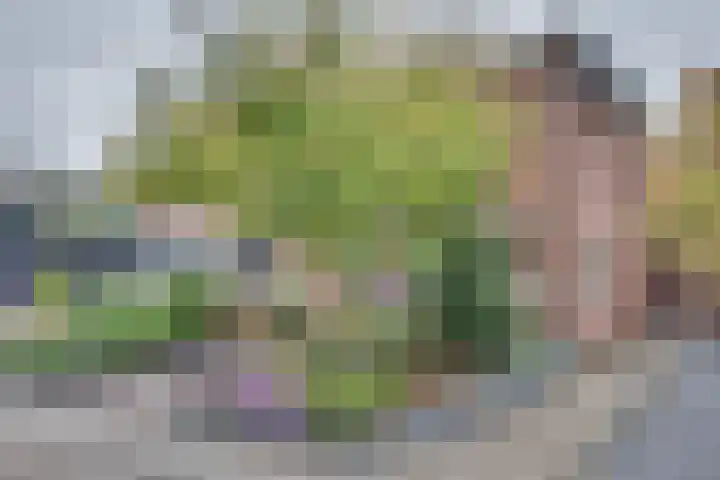 Lozestoep 15 Werkendam thumbnail 5