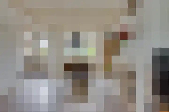 Lozestoep 15 Werkendam thumbnail 9