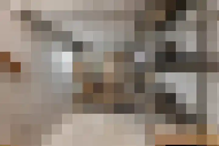 Lt. Andersonstraat 14 Wijhe thumbnail 16