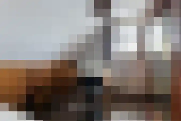 Lt. Andersonstraat 14 Wijhe thumbnail 20