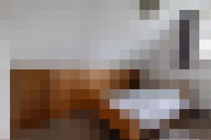 Lt. Andersonstraat 14 Wijhe thumbnail 23
