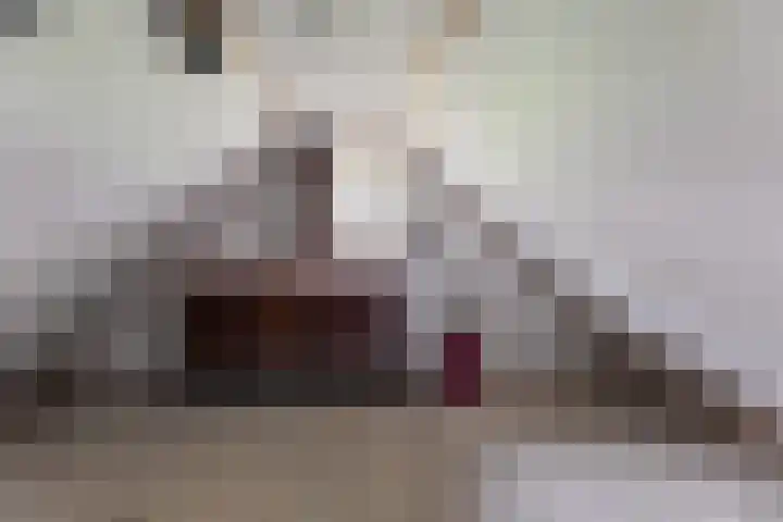 Lt. Andersonstraat 14 Wijhe thumbnail 25