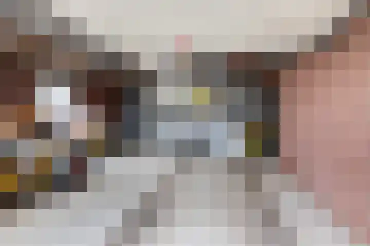 Lt. Andersonstraat 14 Wijhe thumbnail 33