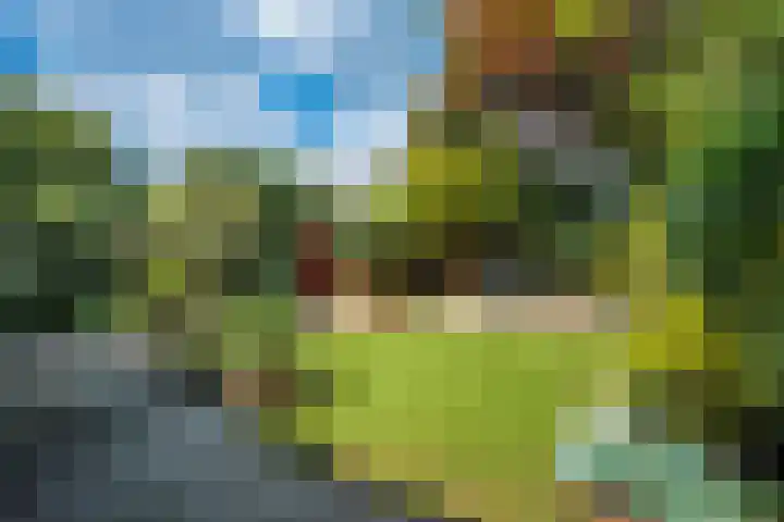 Lt-Generaal Foulkeslaan 2 Aerdenhout thumbnail 18
