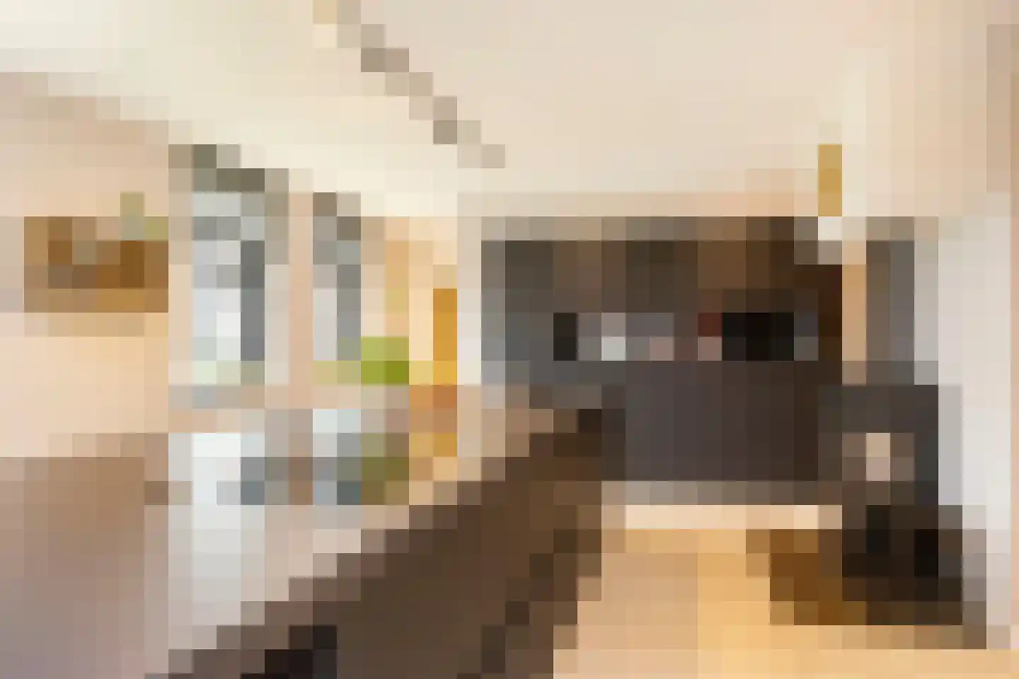 Lubberdinksweg 15 Denekamp thumbnail 20