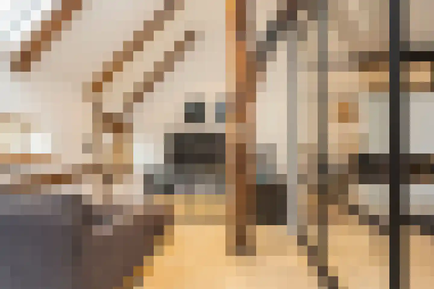 Lubberdinksweg 15 Denekamp thumbnail 22