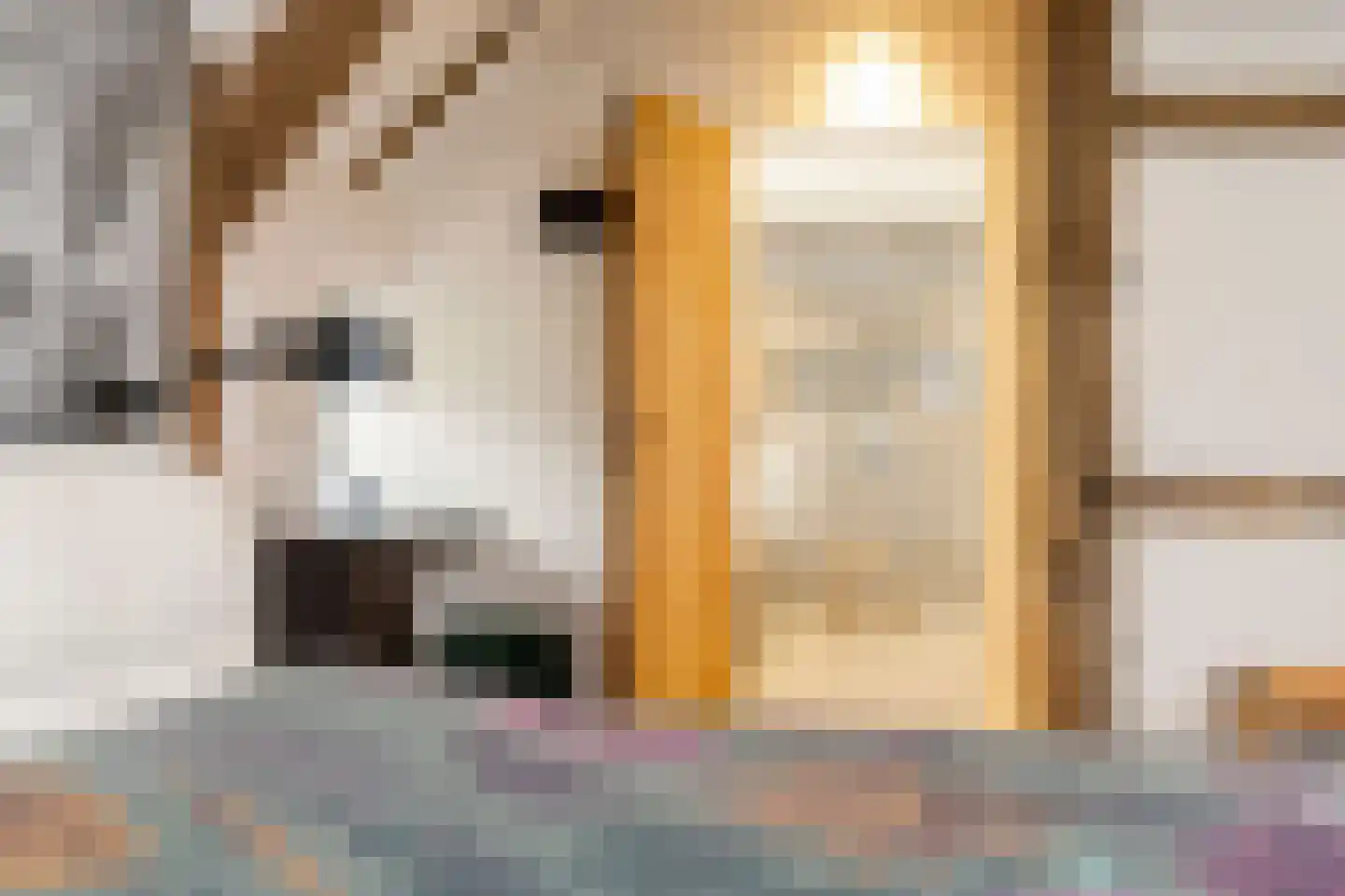 Lubberdinksweg 15 Denekamp thumbnail 24