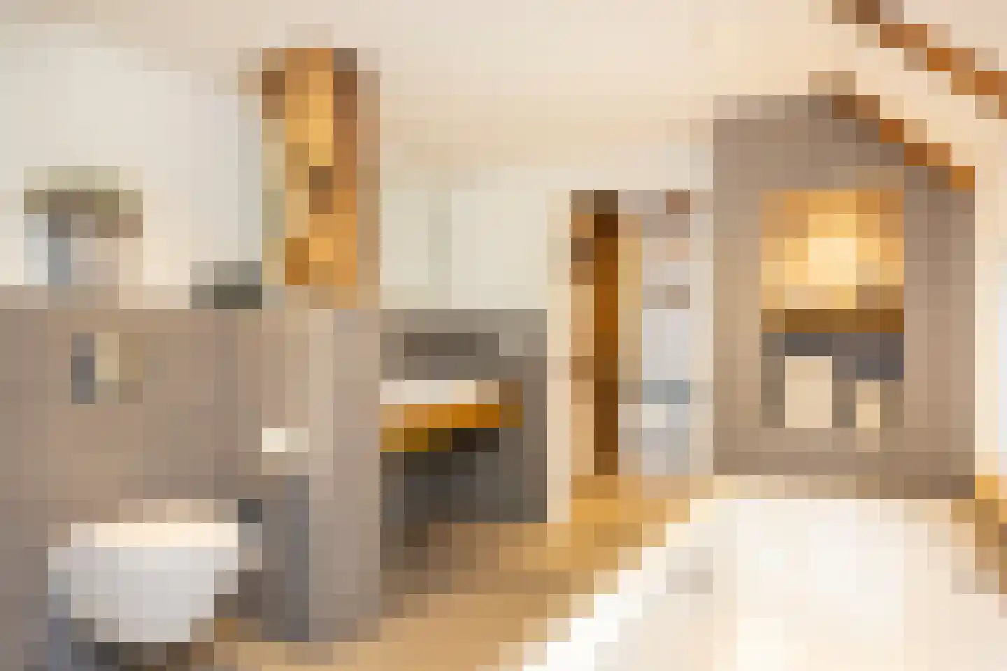 Lubberdinksweg 15 Denekamp thumbnail 26