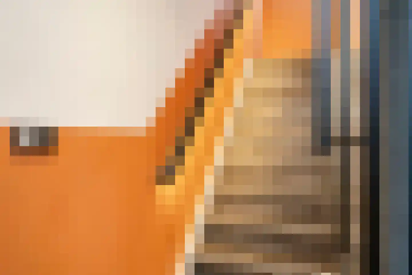 Lubberdinksweg 15 Denekamp thumbnail 27