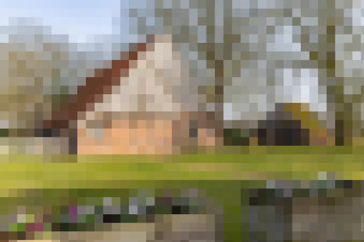 Lubberdinksweg 15 Denekamp thumbnail 35