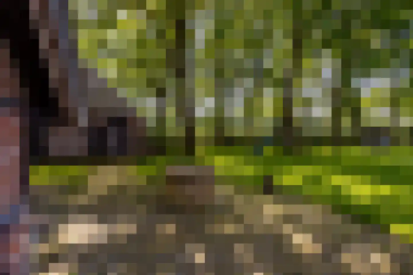 Lubberdinksweg 15 Denekamp thumbnail 36