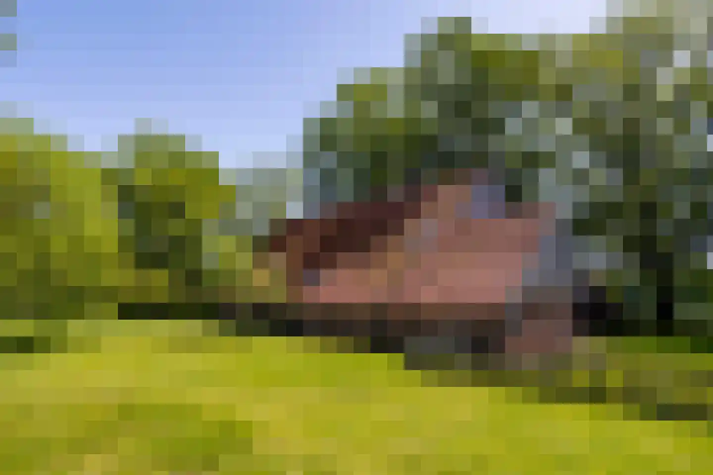 Lubberdinksweg 15 Denekamp thumbnail 37