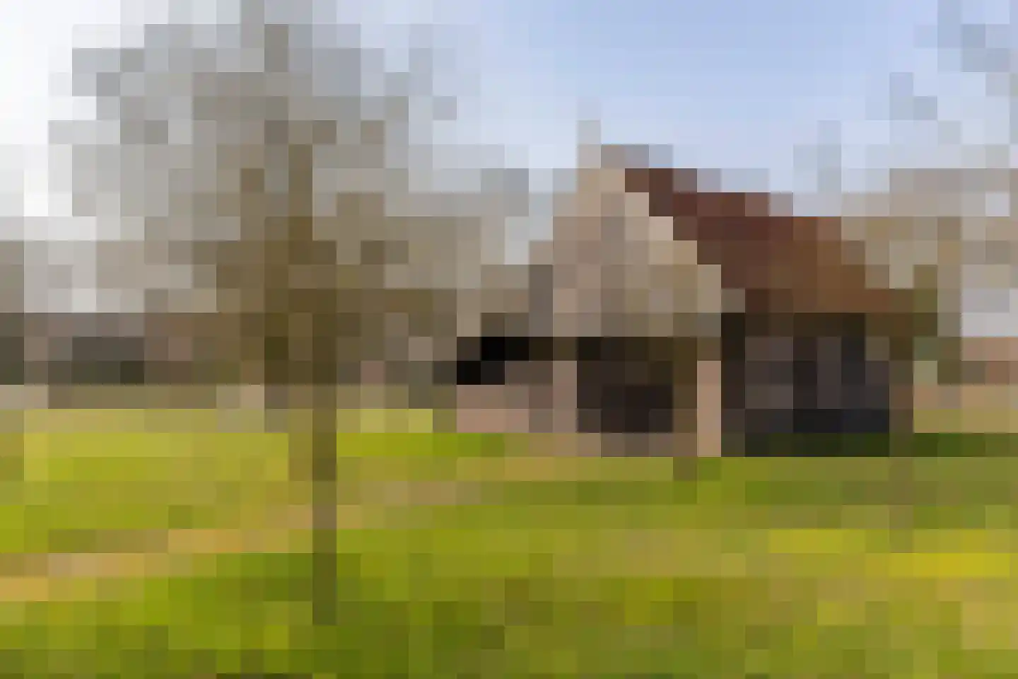 Lubberdinksweg 15 Denekamp thumbnail 38