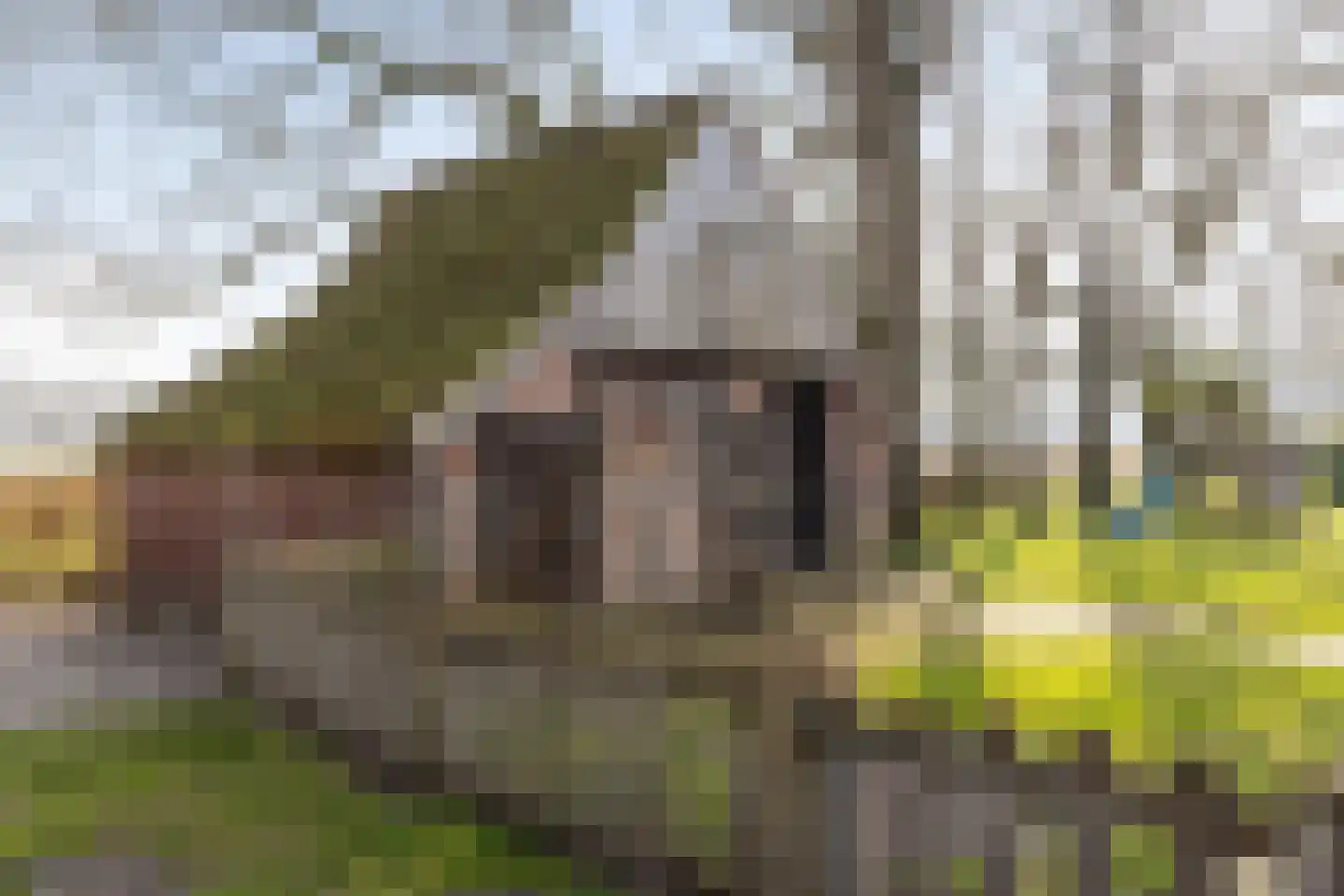 Lubberdinksweg 15 Denekamp thumbnail 41