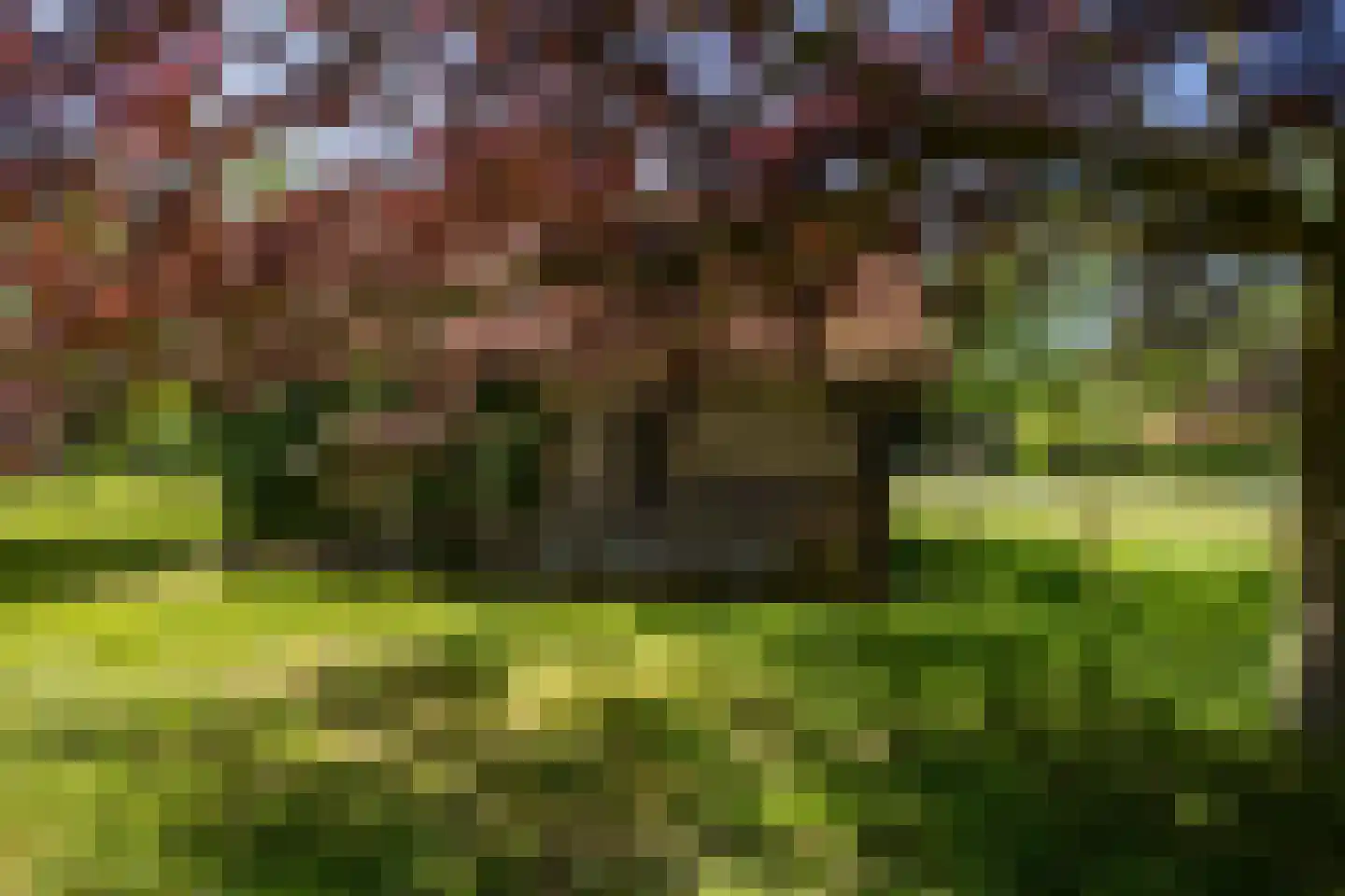 Lubberdinksweg 15 Denekamp thumbnail 41